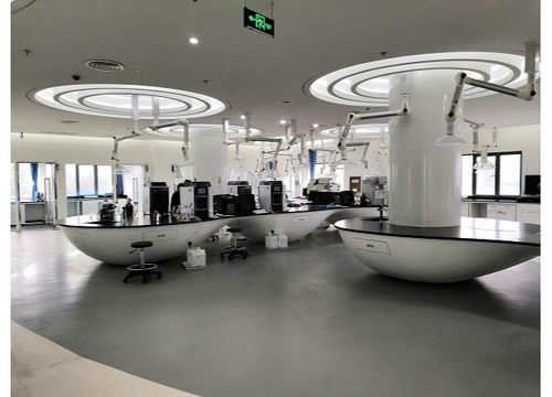 南京組合式稅費支持政策助力出口企業紓困解難